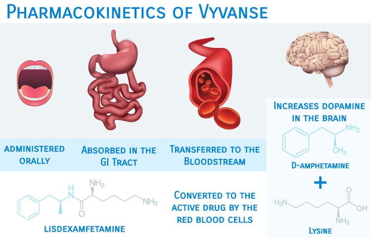 Vyvanse mechanism of action Lisdexamfetamine to dexamphetamine