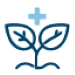 Icon showing a stylized plant sprout with two leaves and a medical cross positioned above, rendered in a single-line illustration style to represent plant-based therapeutic interventions